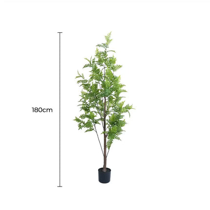 Premium Real Touch Artificial Bracken Palm Tree 180cm.