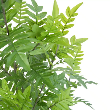 Premium Real Touch Artificial Bracken Palm Tree 180cm.