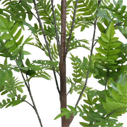 Premium Real Touch Artificial Bracken Palm Tree 180cm.