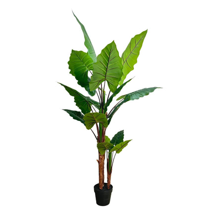 Nearly Natural Artificial Taro Elephant Ear Palm 170cm.