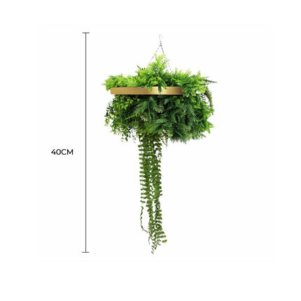 Home & Garden Cartoz.