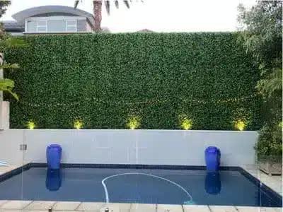 Home & Garden Cartoz.