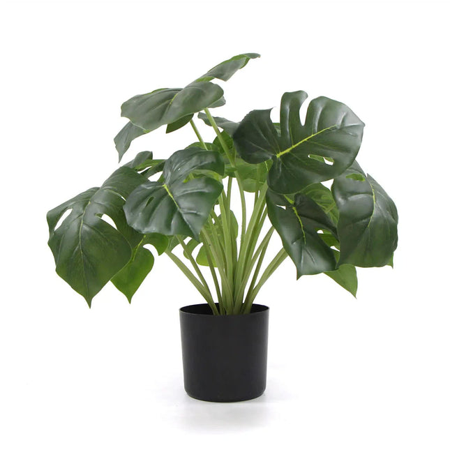 Dense Potted Artificial Monstera Deliciosa Plant With Real Touch Leaves 50cm.