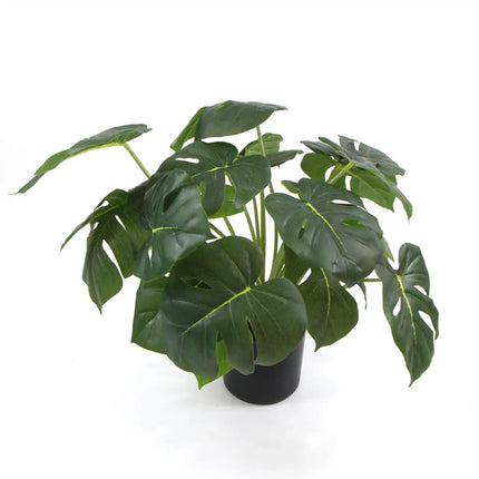 Dense Potted Artificial Monstera Deliciosa Plant With Real Touch Leaves 50cm.