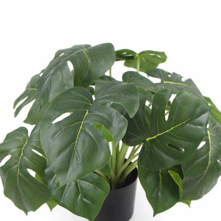 Dense Potted Artificial Monstera Deliciosa Plant With Real Touch Leaves 50cm.