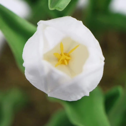 Flowering White Artificial Tulip Plant Arrangement With Ceramic Bowl 35cm.
