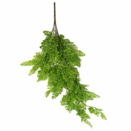 Hanging Native Green Dense Maiden Hair Fern Bush UV Resistant 80cm.
