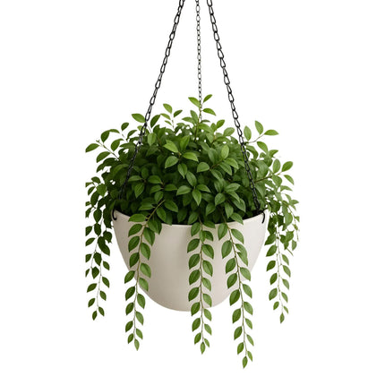 Home & Garden Cartoz.