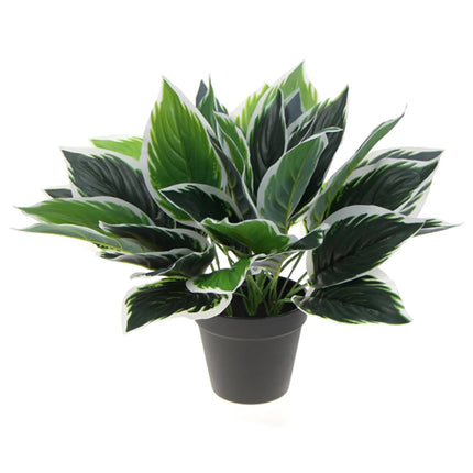 Dense Potted Artificial Calathea Plant 35cm.