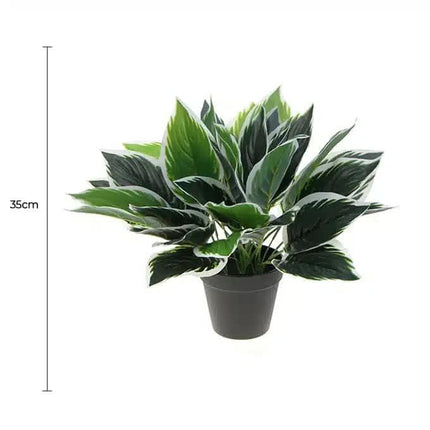 Dense Potted Artificial Calathea Plant 35cm.