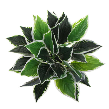 Dense Potted Artificial Calathea Plant 35cm.