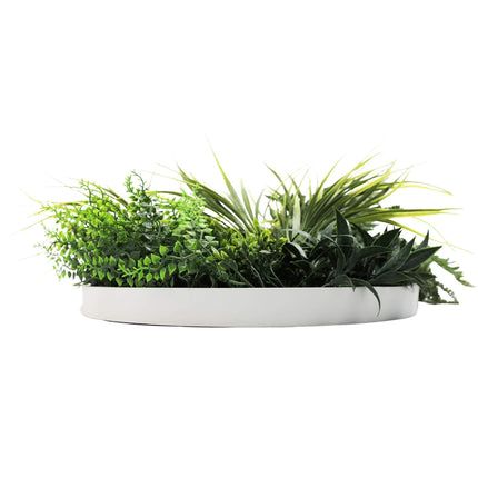 Home & Garden Cartoz.