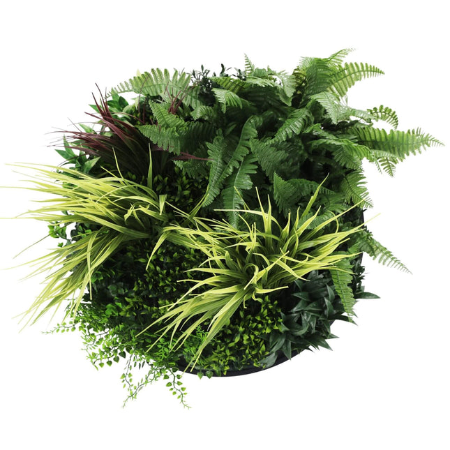 Slimline Artificial Green Wall Disc Art 50cm Grassy Fern Fields UV Resistant (Black).