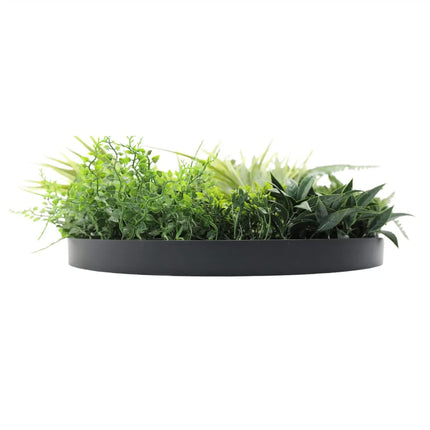 Home & Garden Cartoz.