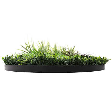 Home & Garden Cartoz.
