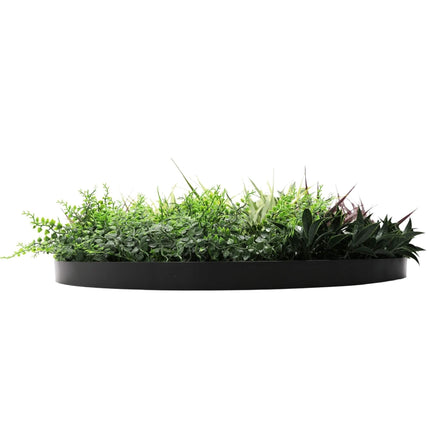 Home & Garden Cartoz.