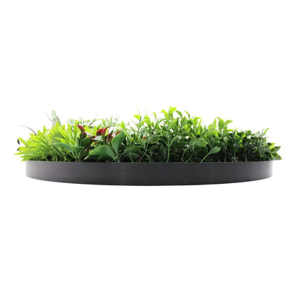Slimline Artificial Green Wall Disc Art 80cm Colour Fresh UV Resistant (Black).