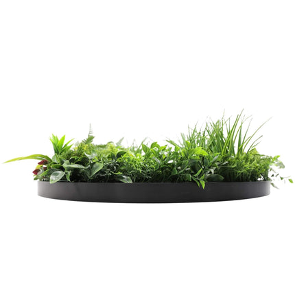 Slimline Artificial Green Wall Disc Art 80cm Country Fern UV Resistant (Black).