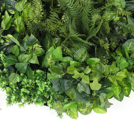 Slimline Artificial Green Wall Disc Art 80cm Mixed Green Fern & Ivy (Modern Black).