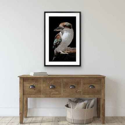 Mystery Kookaburra Artwork Framed W Glass Front 80x120cm.