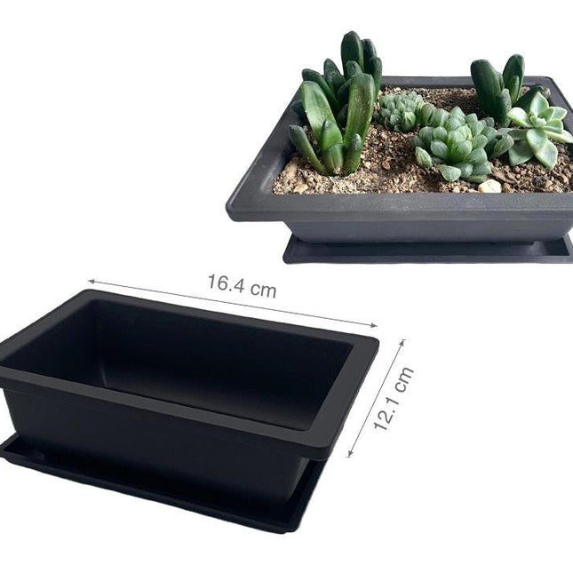 bulk 24 Bonsai Succulent Planter w Tray 16cm.