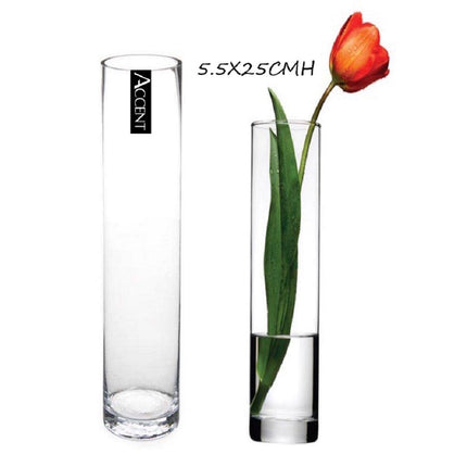 bulk 12 Glass Cylinder Vase Flower 25cm.