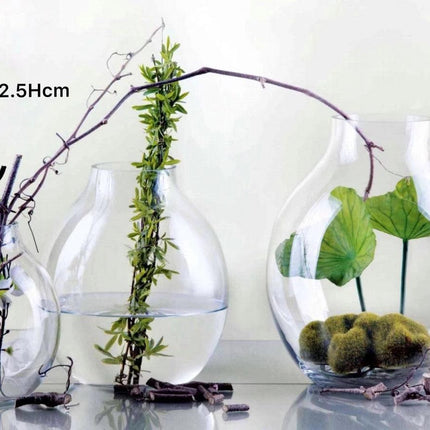 Glass Wide Bubble Vase 22cm.
