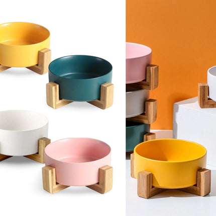 bulk 12 Couloured Ceramic Pet Bowl w Stand 4 Assort 20cm.