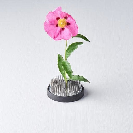 Kenzan Ikebana Pin Base 6cm Round.
