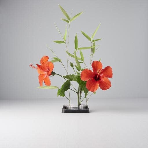 Home & Garden.