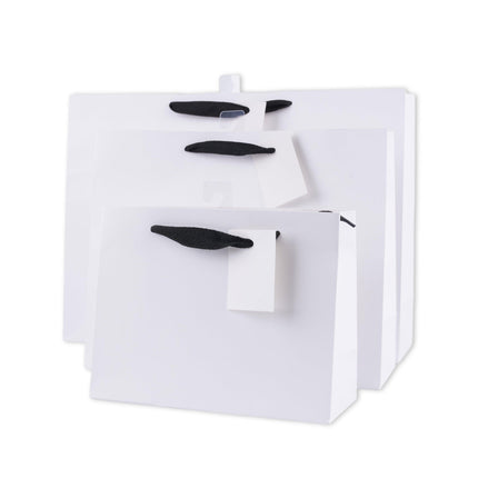 bulk 24 Large Landscape Gift Bags w Handle 26x32cm.