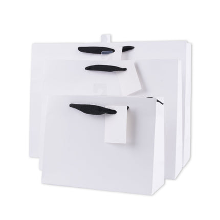 bulk 24 Xlarge Landscape Gift Bags w Handle 31x42cm.