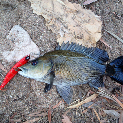 Toppu Mizzu Sidewinder Bent Minnow, 95mm, Gold Flare.