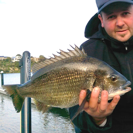 Outdoor Recreation > Fishing > Fishing Tackle.