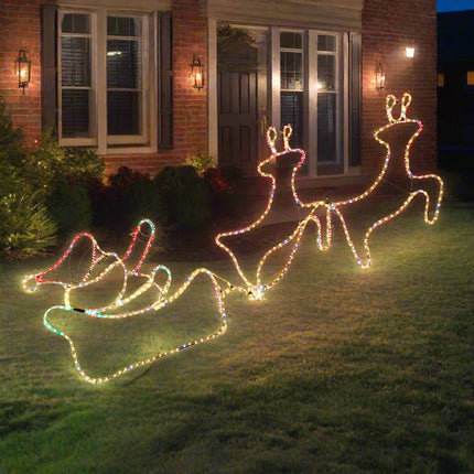 LED Ropelight Double Reindeer Sleigh Twinkle Lights.