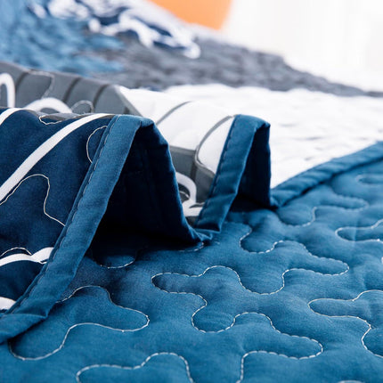 Frosted Magnolia Chic blue 3 Pc Comforter & Pillow Cover Set KING.