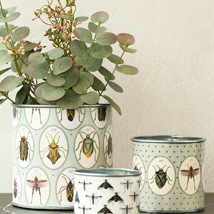 Home & Garden Cartoz.