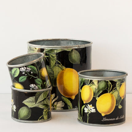 tin-planter-lemons-set-of-4.