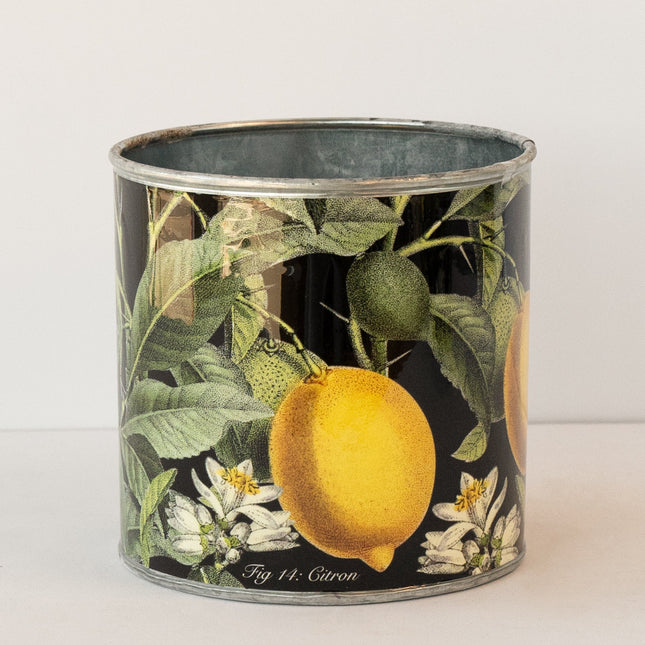 tin-planter-lemons-set-of-4.