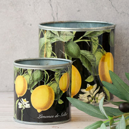 tin-planter-lemons-set-of-4.