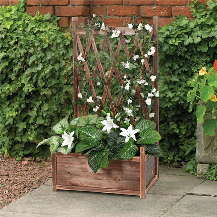 Extra Large Wooden Raised Plant Bed Garden Elevated Planter Box with Trellis.