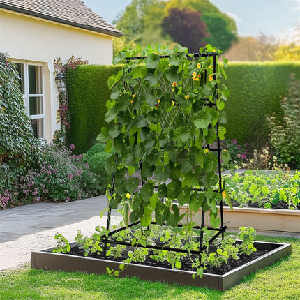 FIN Metal Garden Trellis Arch Climbing Plants Grow Support Frame with Ground Spikes.