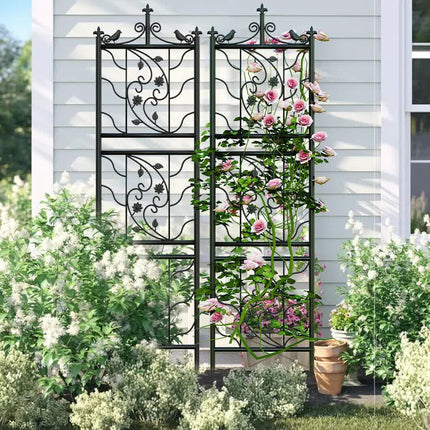 Home & Garden Cartoz.