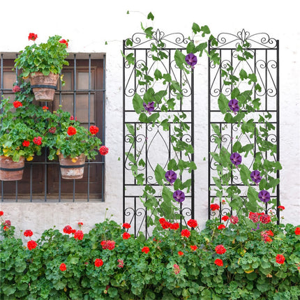 2 Pcs Large Metal Garden Trellis for Outdoor Yard & Patio.