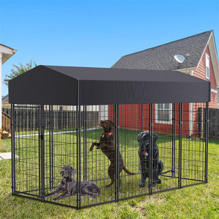 Pet Care.