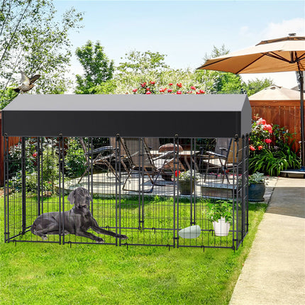 Pet Care.