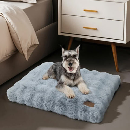Comfortable Pet Bed with Removable Cover and Anti Skid Base(Medium).