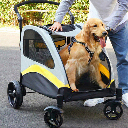 Pet Care Cartoz.