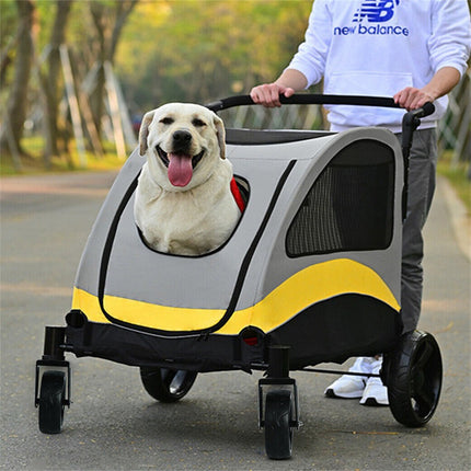 Pet Care Cartoz.
