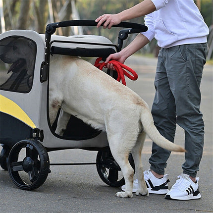 Pet Care Cartoz.